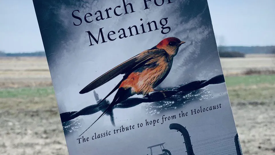 My Journey with Man's Search for Meaning: Finding Light in the Darkest Place